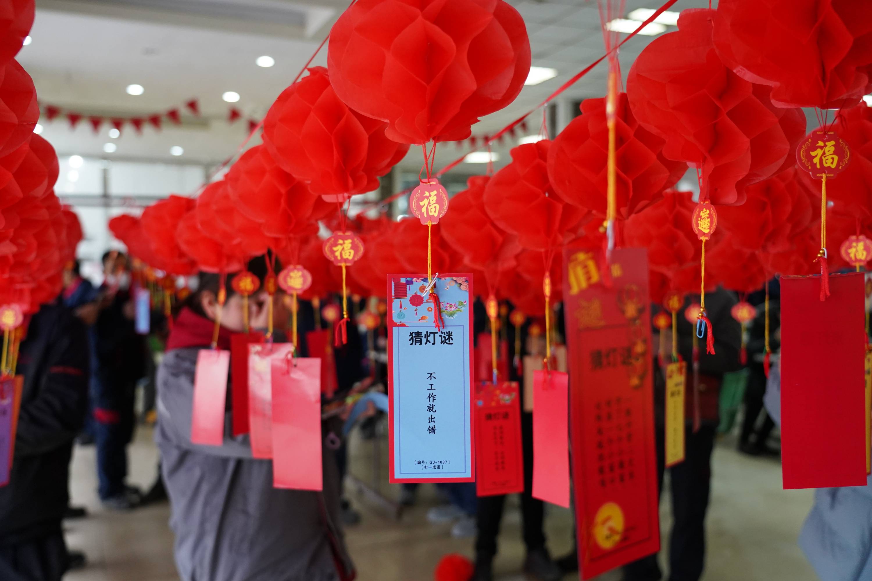 DSC01029(1)-15493247941