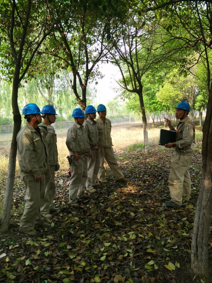 首页 - 欧博ABG官方网站